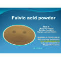 Bio Fulvic Acid Fertilizer in Organic Fertilizer